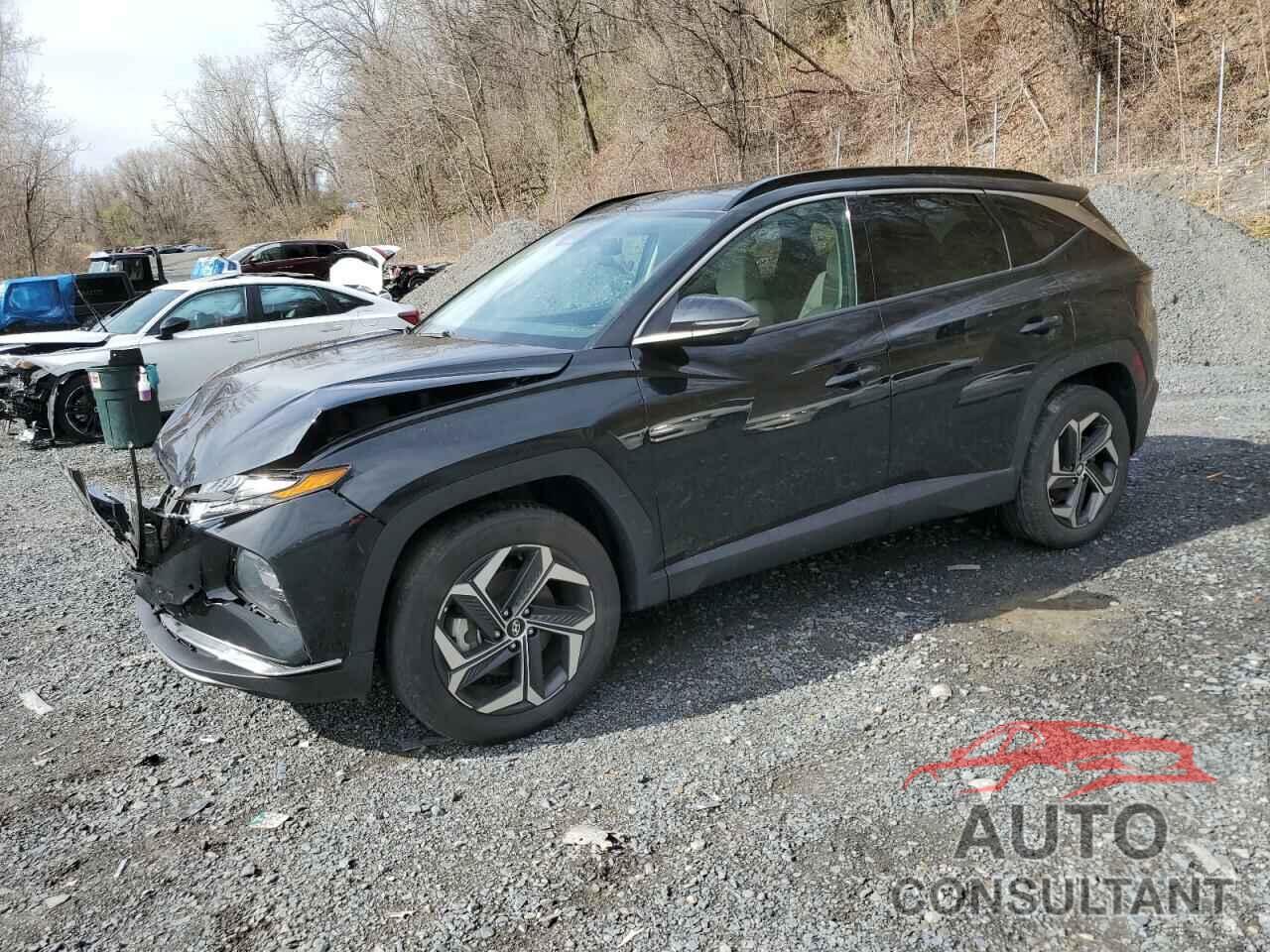 HYUNDAI TUCSON 2023 - KM8JECA14PU095188