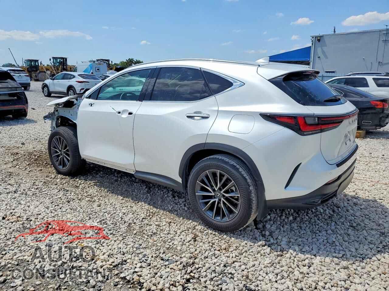 LEXUS NX 2025 - 2T2ADCAZ0SC028005