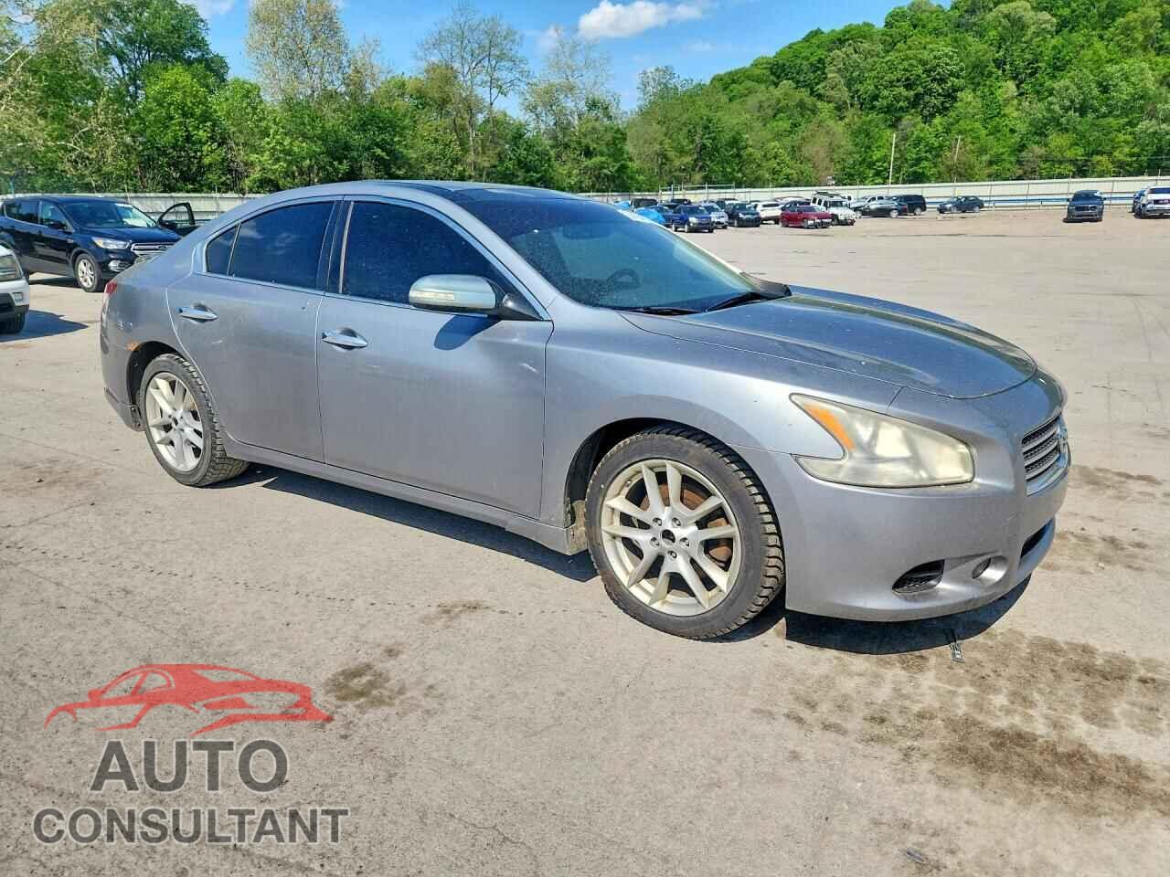 NISSAN MAXIMA 2009 - 1N4AA51E29C824673