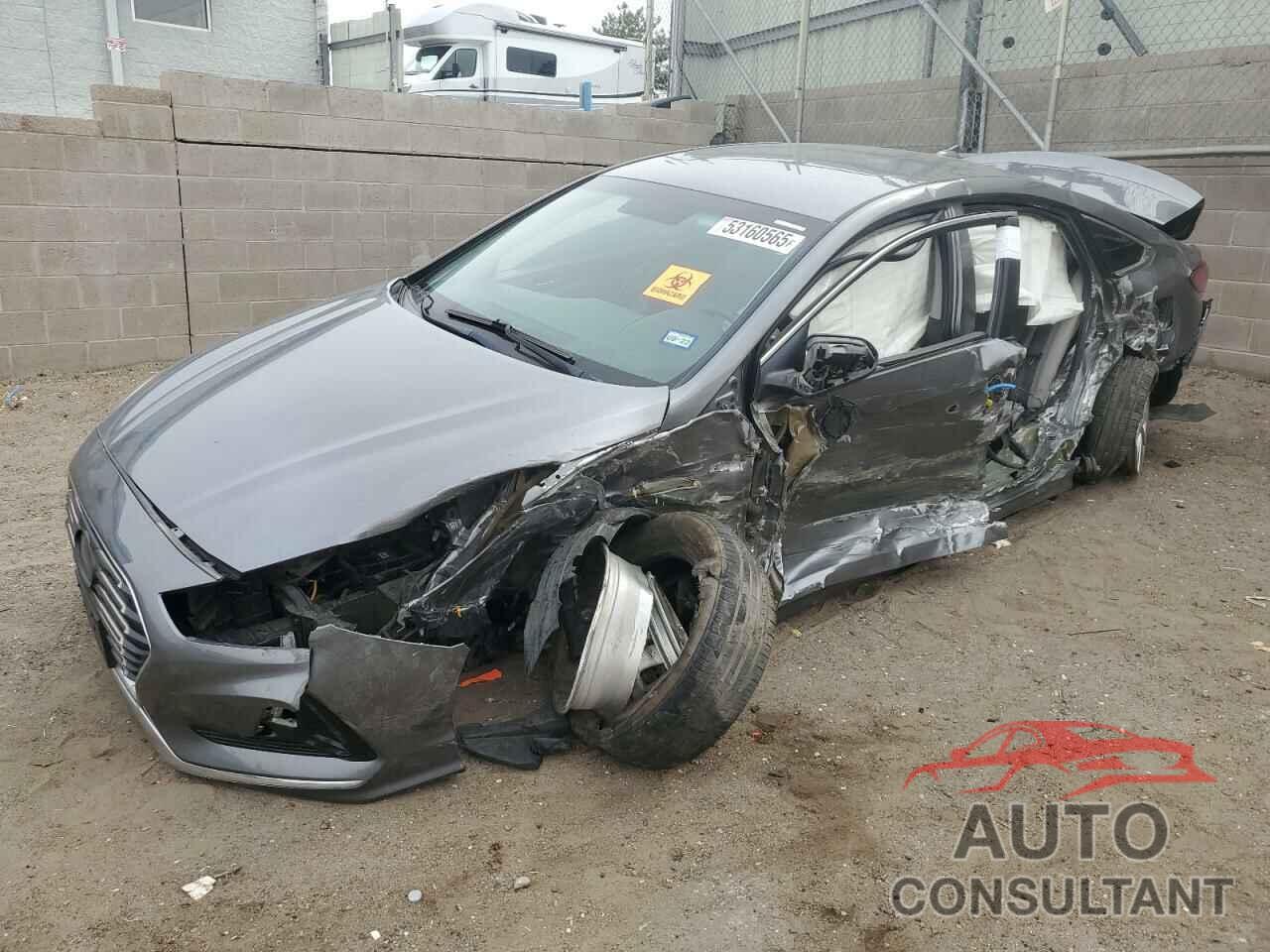 HYUNDAI SONATA 2019 - 5NPE24AF9KH800456
