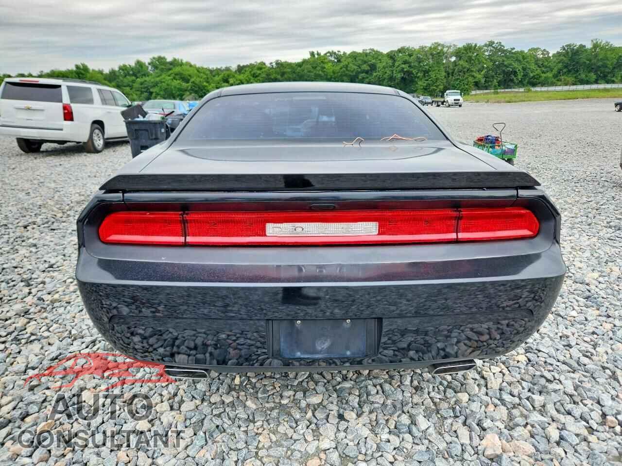 DODGE CHALLENGER 2013 - 2C3CDYAG5DH646023