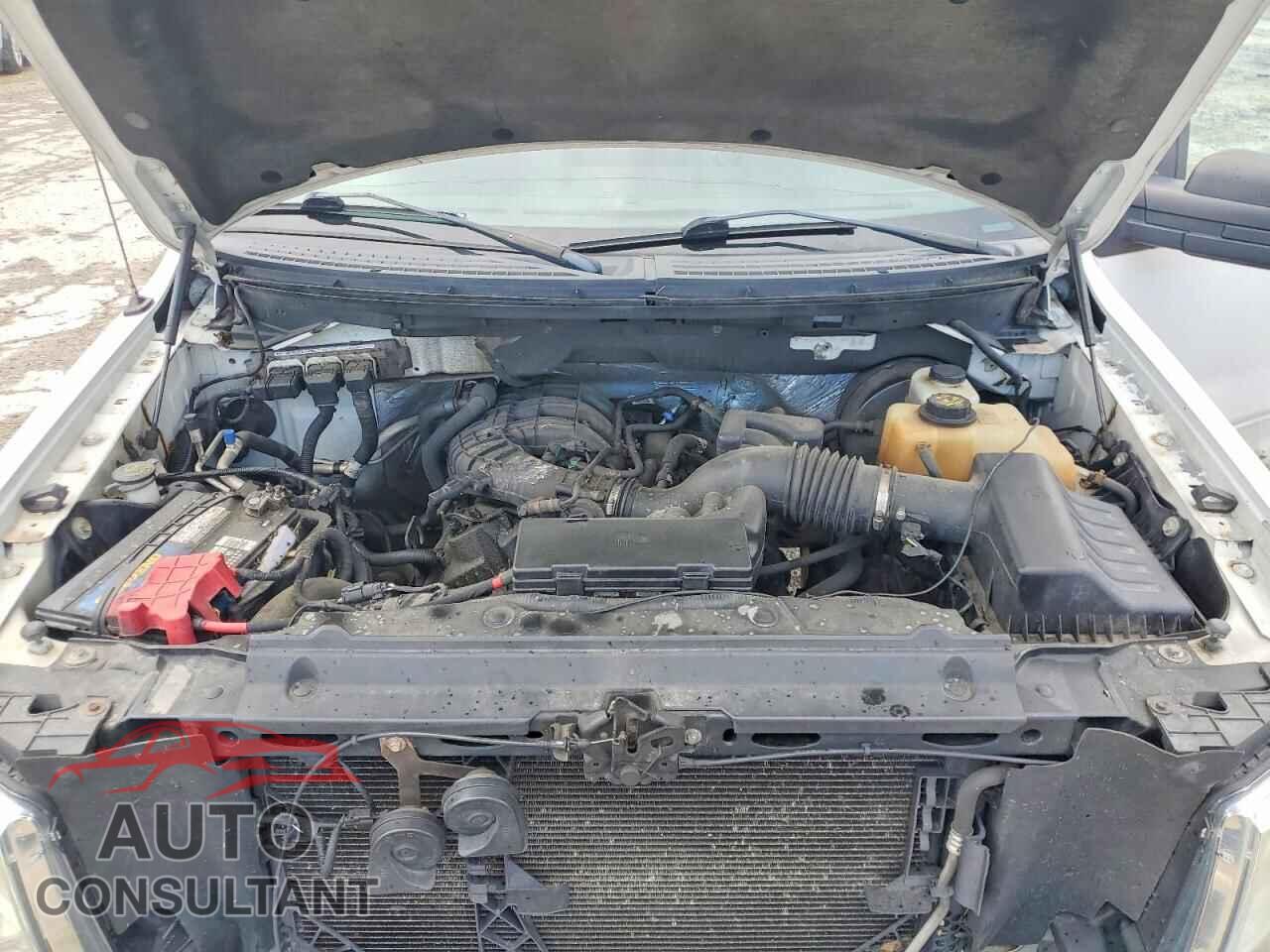 FORD F150 2011 - 1FTMF1CM2BKD74122