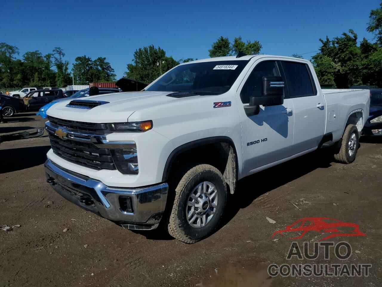 CHEVROLET ALL Models 2024 - 1GC4YNEY6RF325252