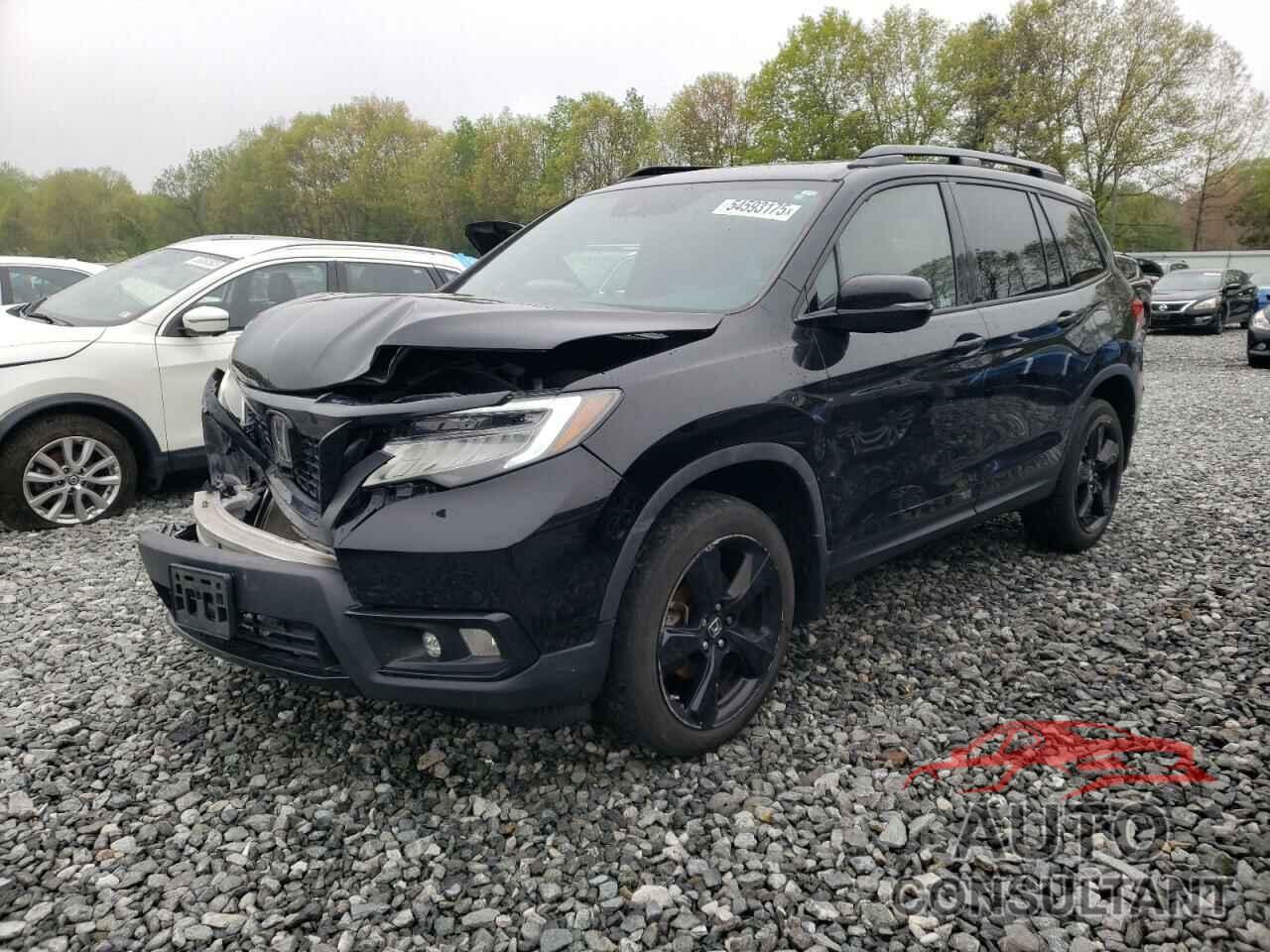 HONDA PASSPORT 2019 - 5FNYF8H0XKB008356