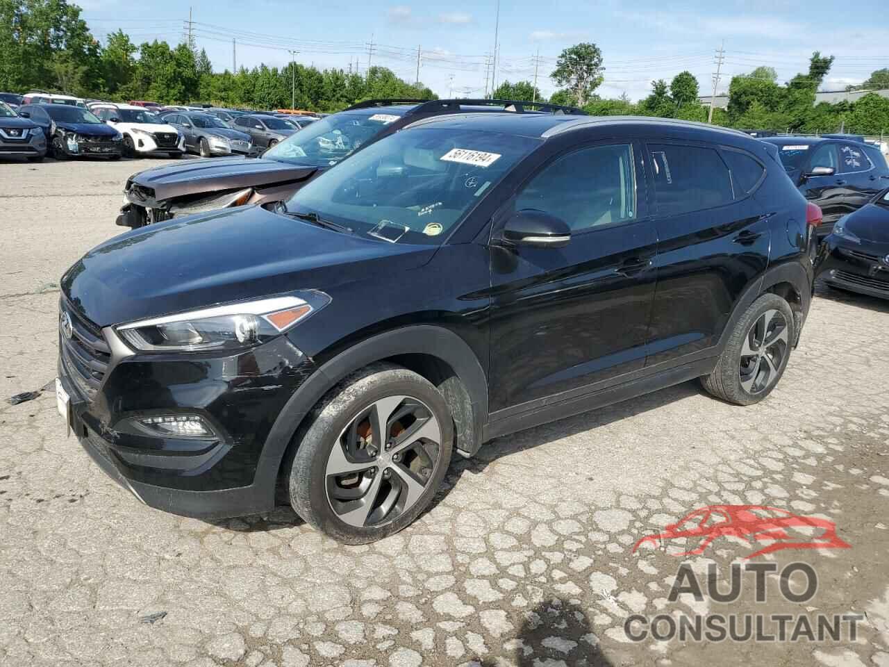 HYUNDAI TUCSON 2016 - KM8J3CA29GU224248