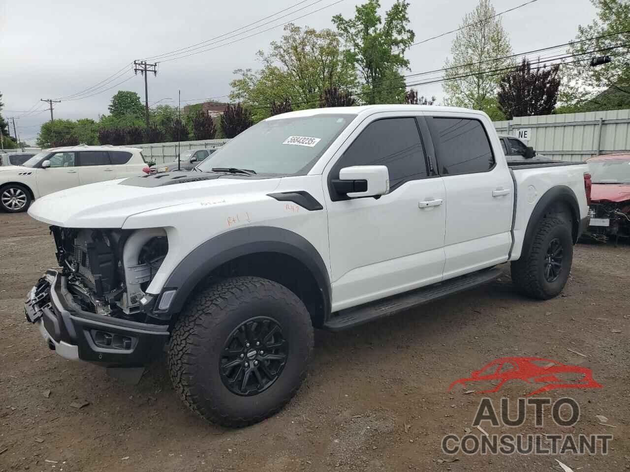 FORD F150 2024 - 1FTFW1RG0RFA87164