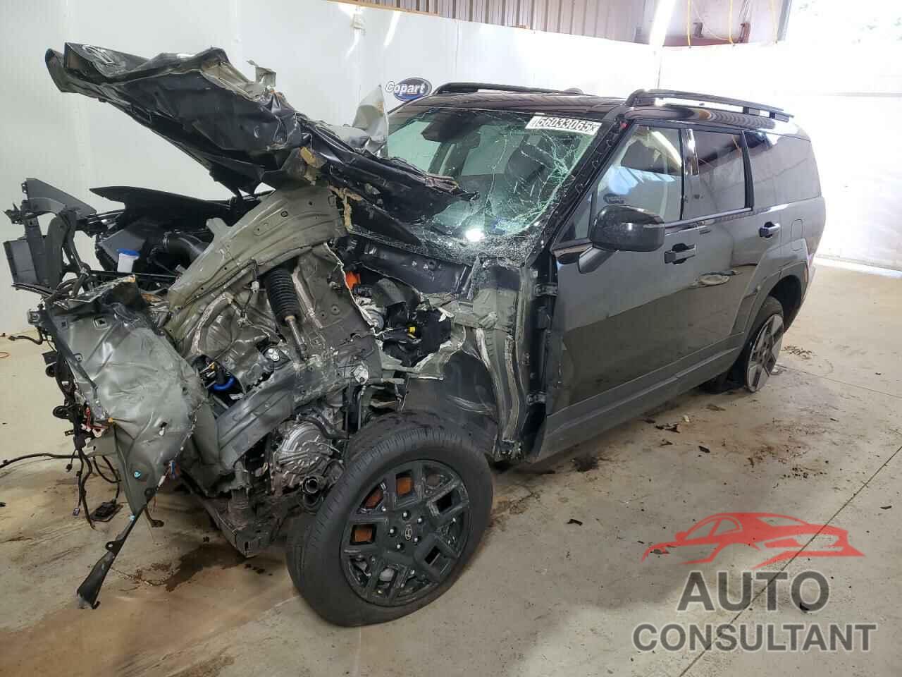 HYUNDAI SANTA FE 2025 - 5NMP2DG1XSH039972