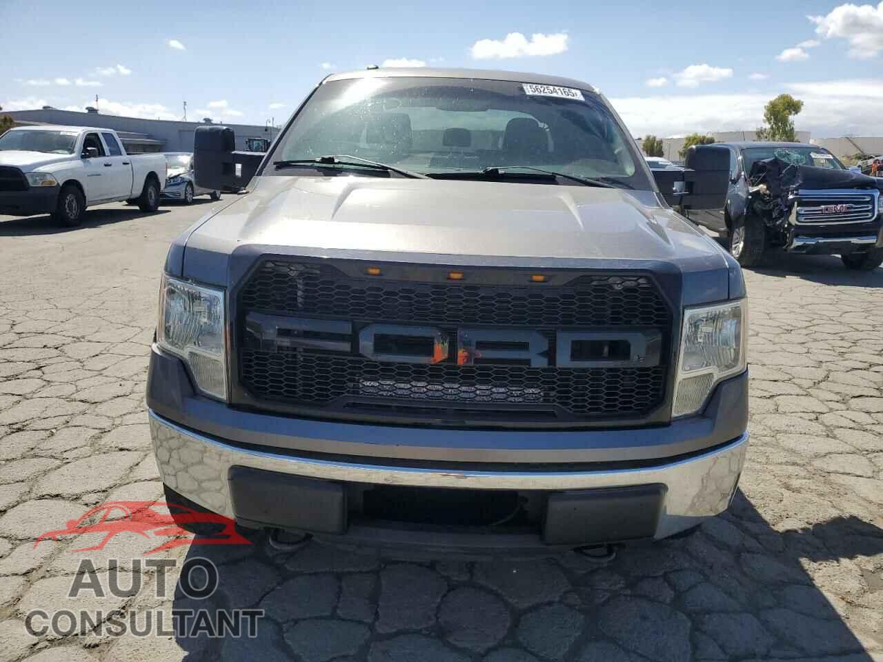 FORD F-150 2013 - 1FTFX1EF4DFD06873