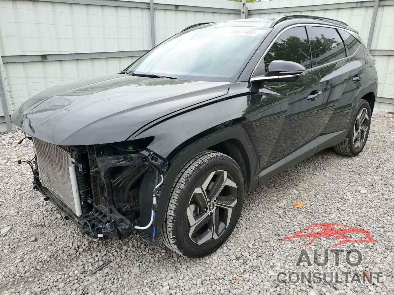 HYUNDAI TUCSON 2023 - 5NMJECAEXPH189171