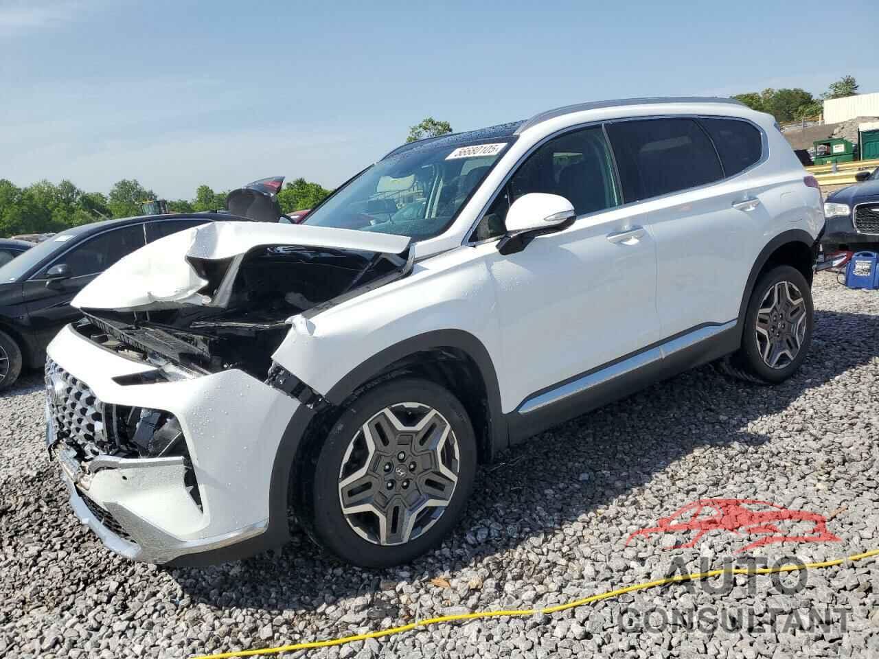 HYUNDAI SANTA FE 2022 - 5NMS44AL3NH376275