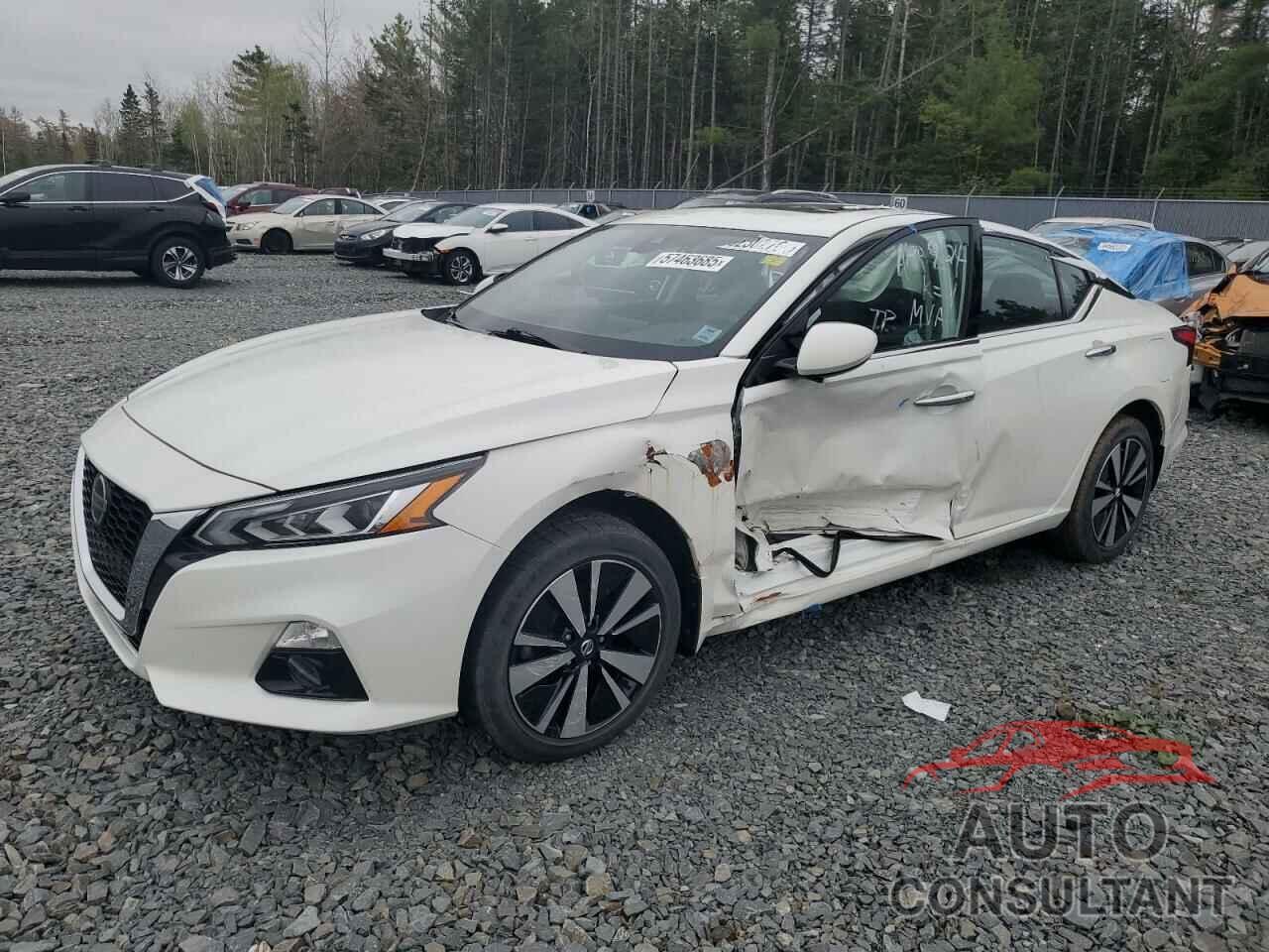 NISSAN ALTIMA 2019 - 1N4BL4DW8KN301701