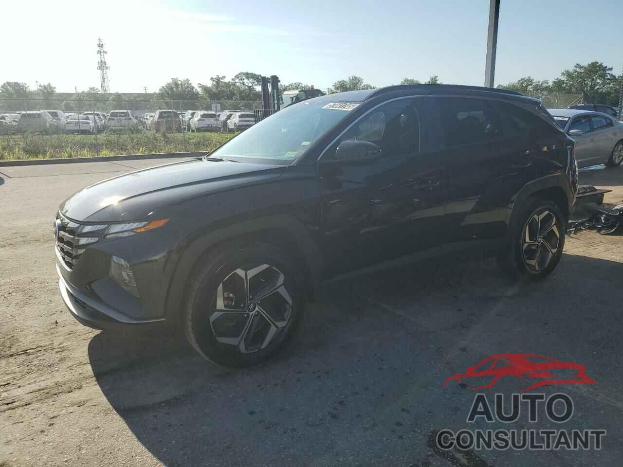 HYUNDAI TUCSON 2024 - KM8JBDD27RU157706