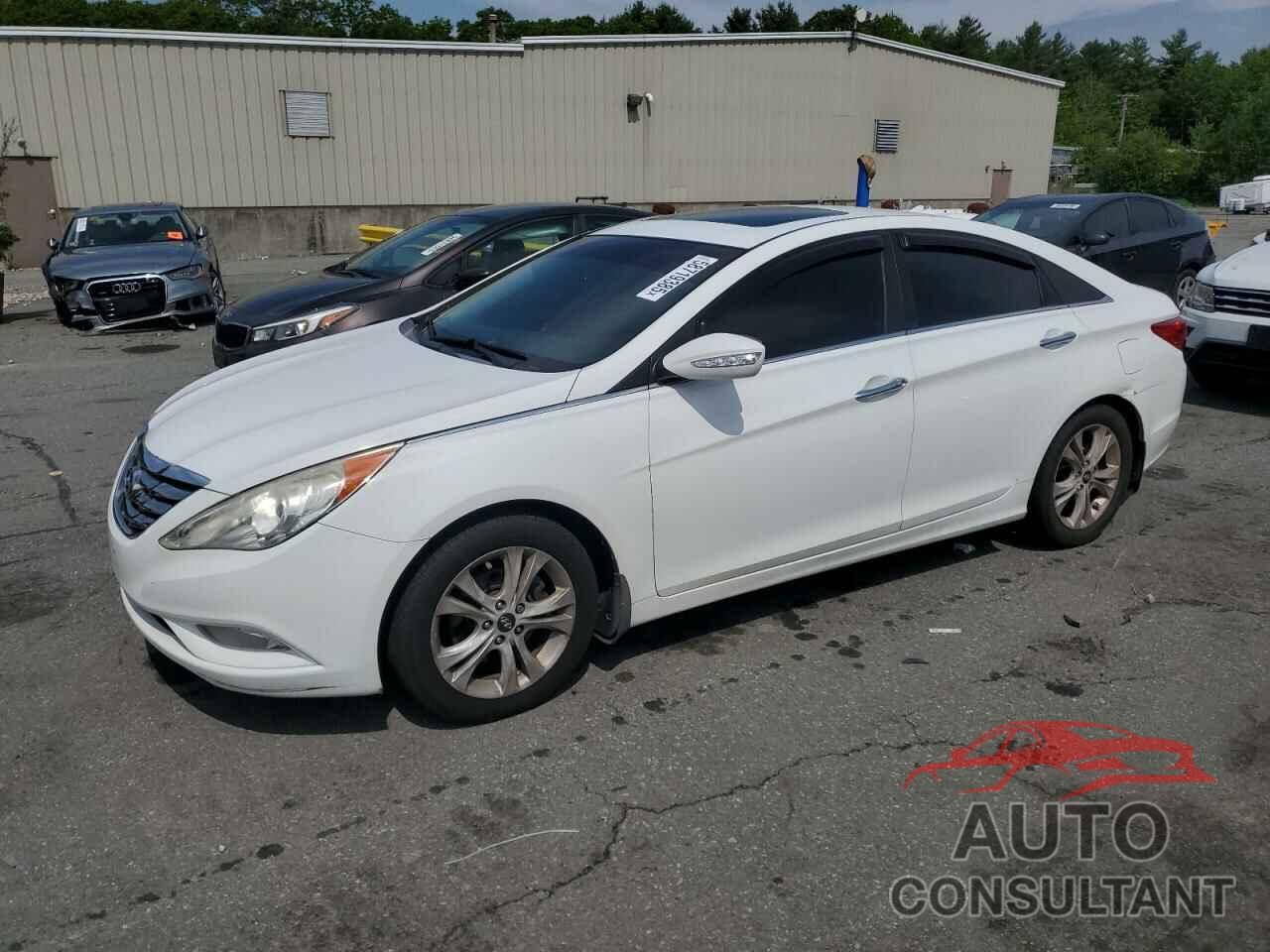 HYUNDAI SONATA 2011 - 5NPEC4AC6BH116239