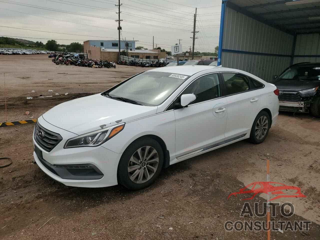 HYUNDAI SONATA 2017 - 5NPE34AF1HH501307