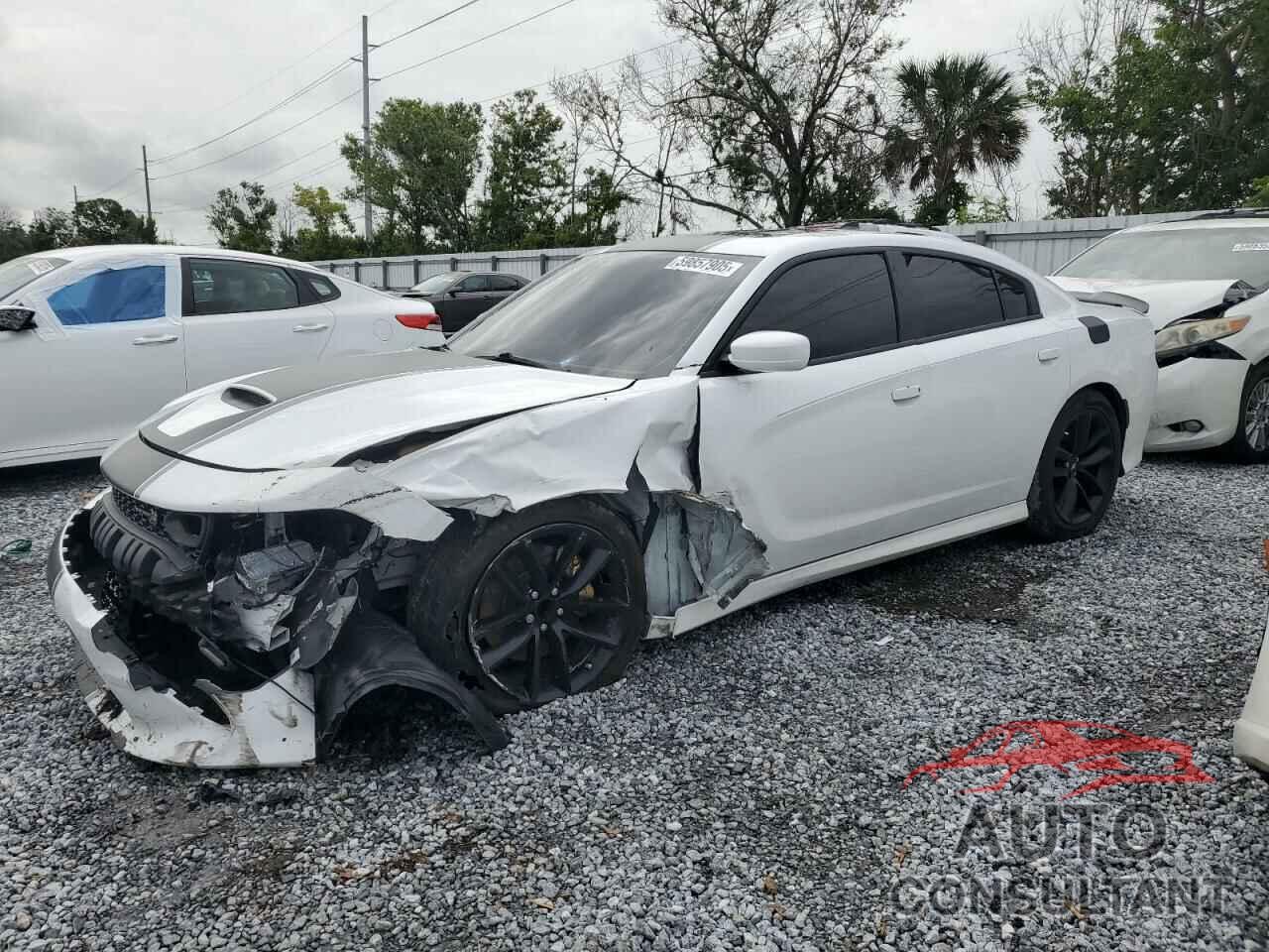 DODGE CHARGER 2019 - 2C3CDXGJ7KH734095
