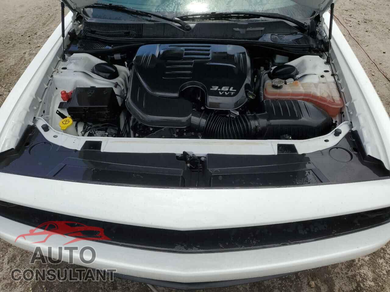 DODGE CHALLENGER 2019 - 2C3CDZAG8KH605338