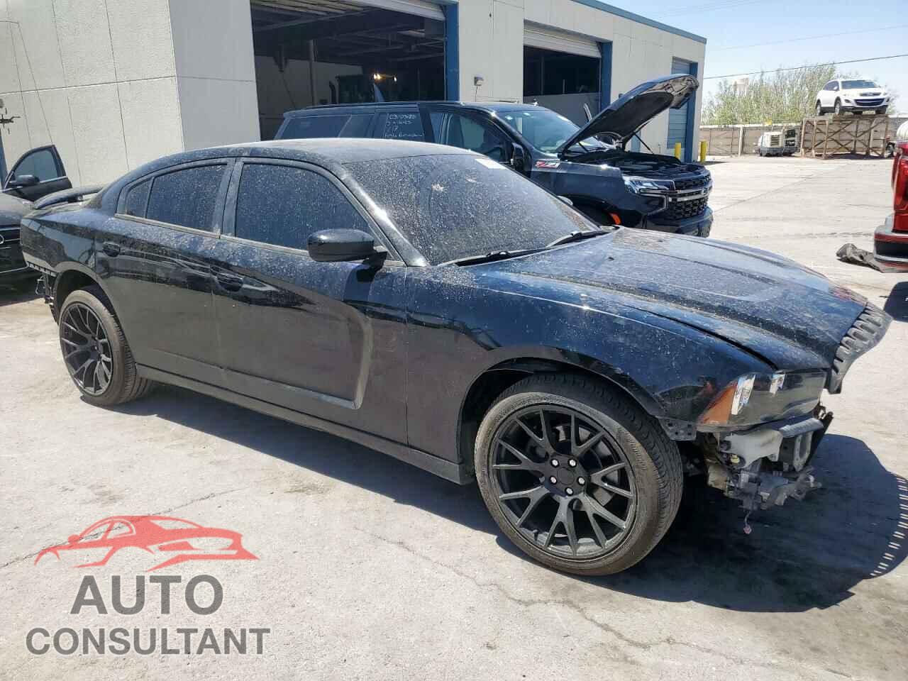 DODGE CHARGER 2013 - 2C3CDXAT2DH722403