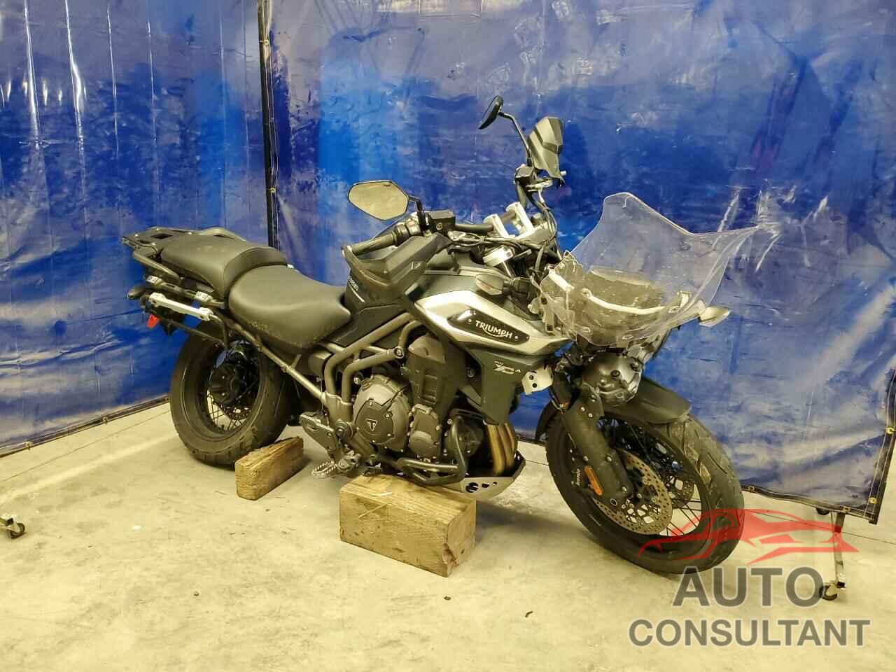 TRIUMPH CAR ALL MODELS 2019 - SMTF45XB9KJ911056