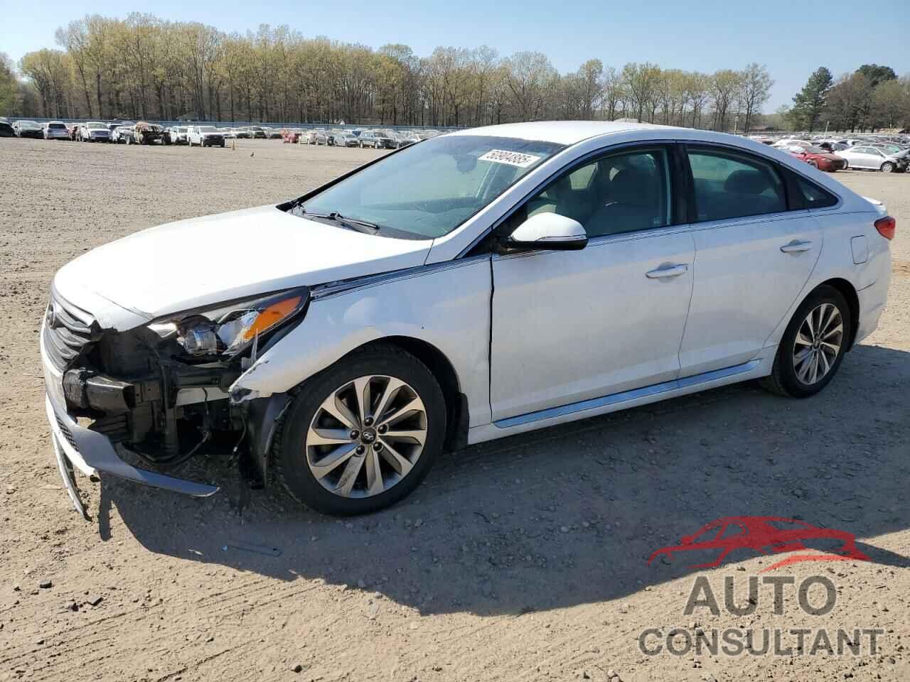 HYUNDAI SONATA 2016 - 5NPE34AF4GH288397