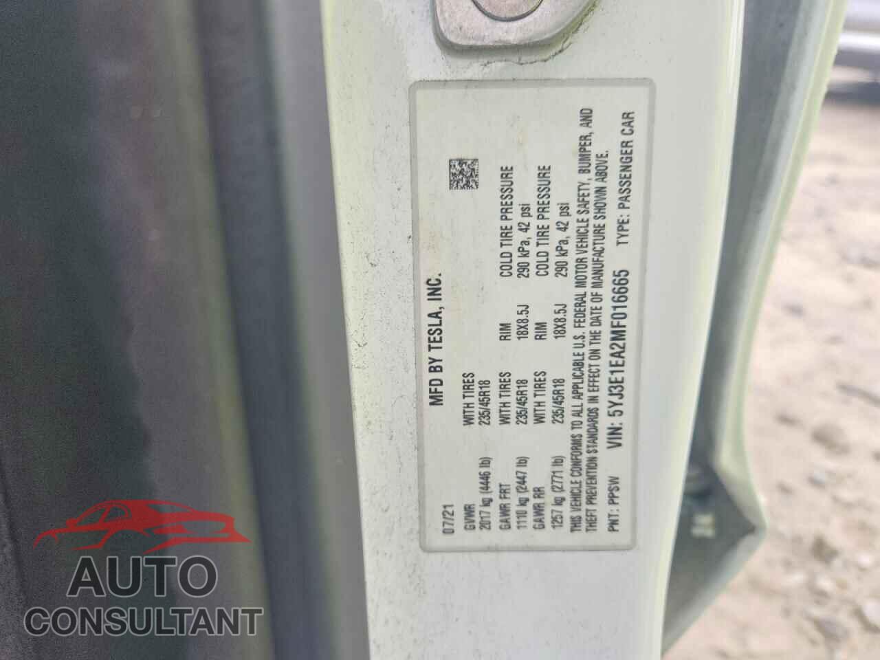 TESLA MODEL 3 2021 - 5YJ3E1EA2MF016665