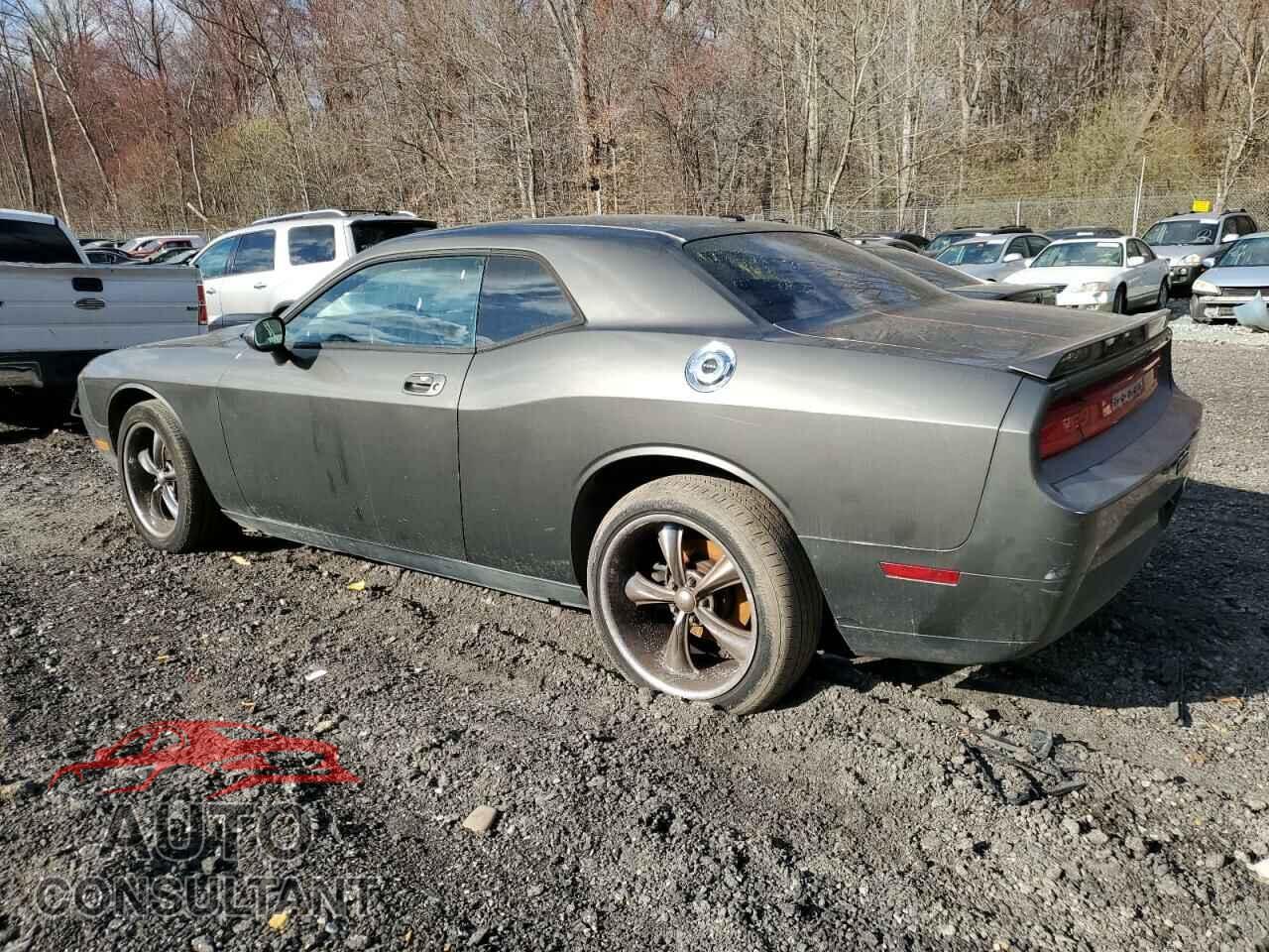 DODGE CHALLENGER 2010 - 2B3CJ4DV2AH189918