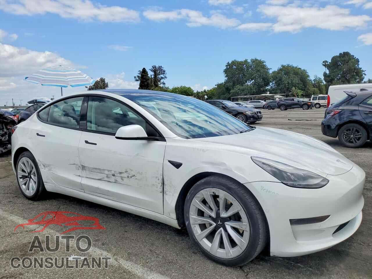 TESLA MODEL 3 2021 - 5YJ3E1EA2MF031909
