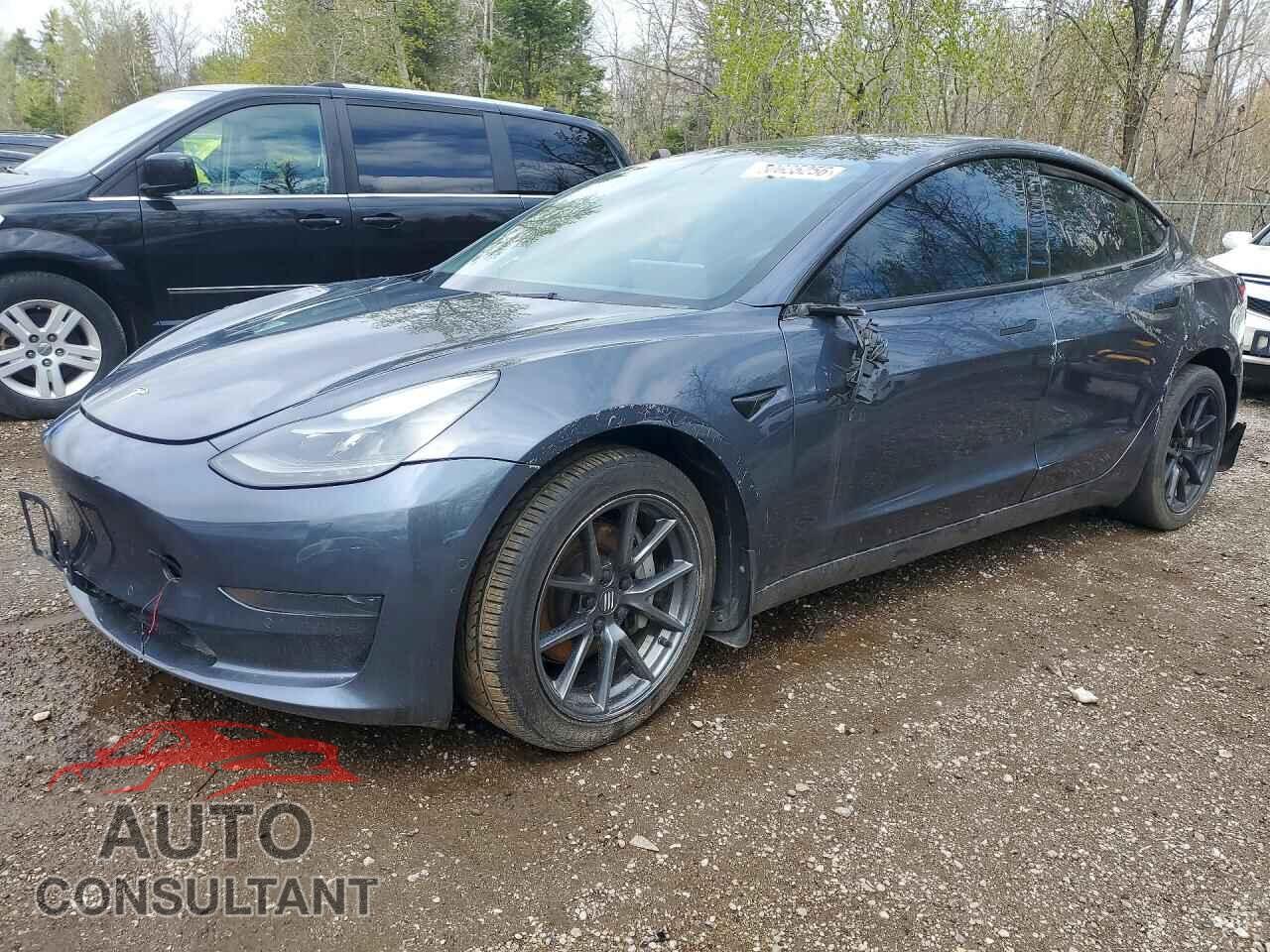 TESLA MODEL 3 2021 - 5YJ3E1EA4MF095465