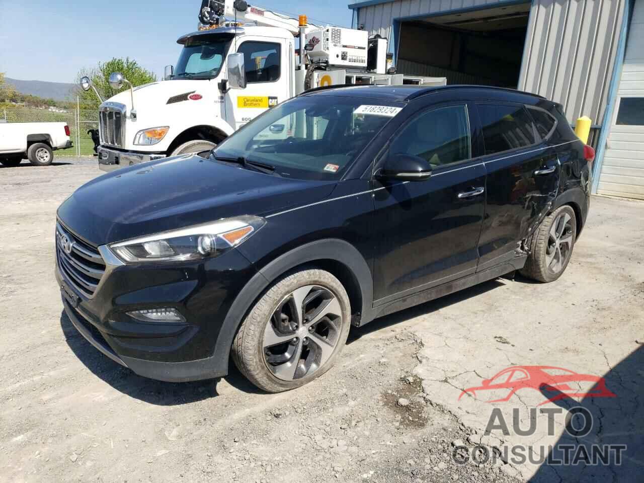 HYUNDAI TUCSON 2016 - KM8J3CA29GU030562