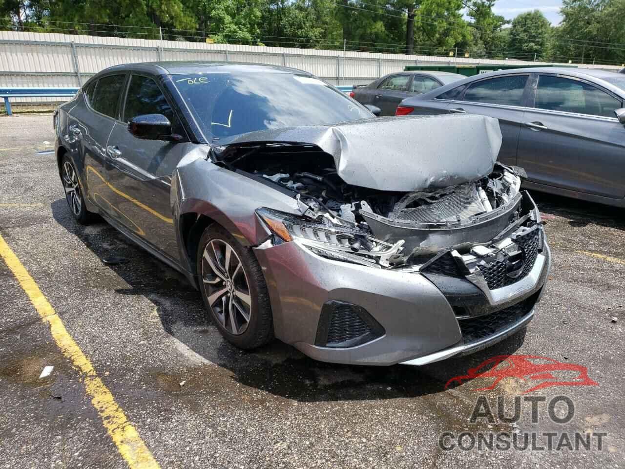 NISSAN MAXIMA 2019 - 1N4AA6AV6KC381097