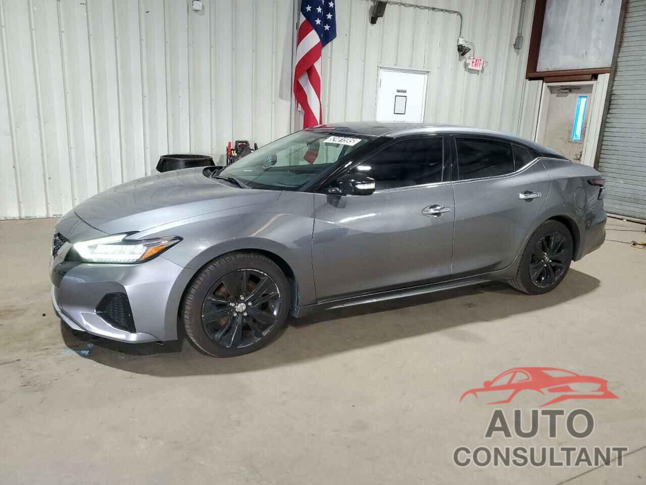 NISSAN MAXIMA 2019 - 1N4AA6AV2KC360313