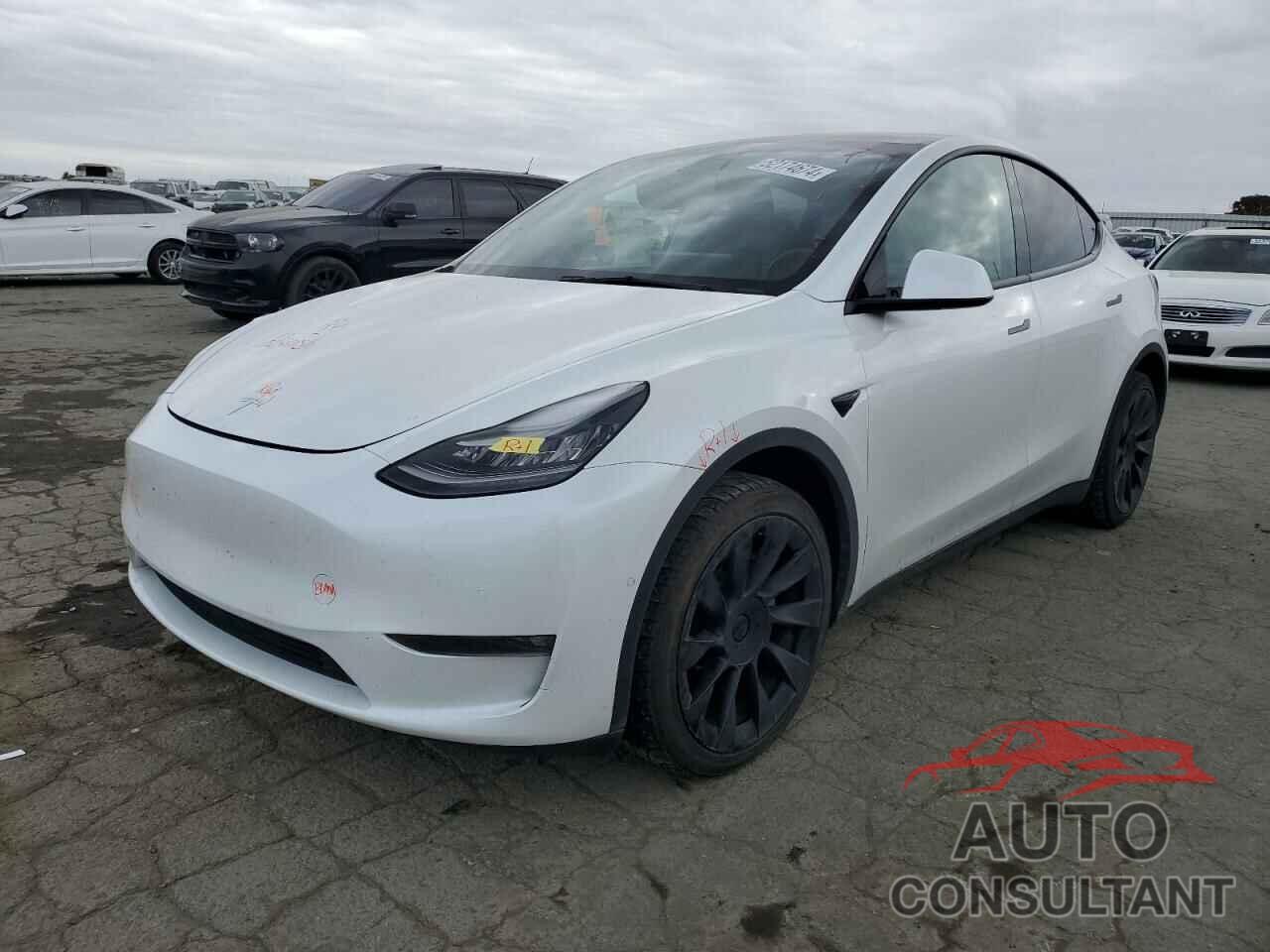 TESLA MODEL Y 2021 - 5YJYGDEE0MF239601