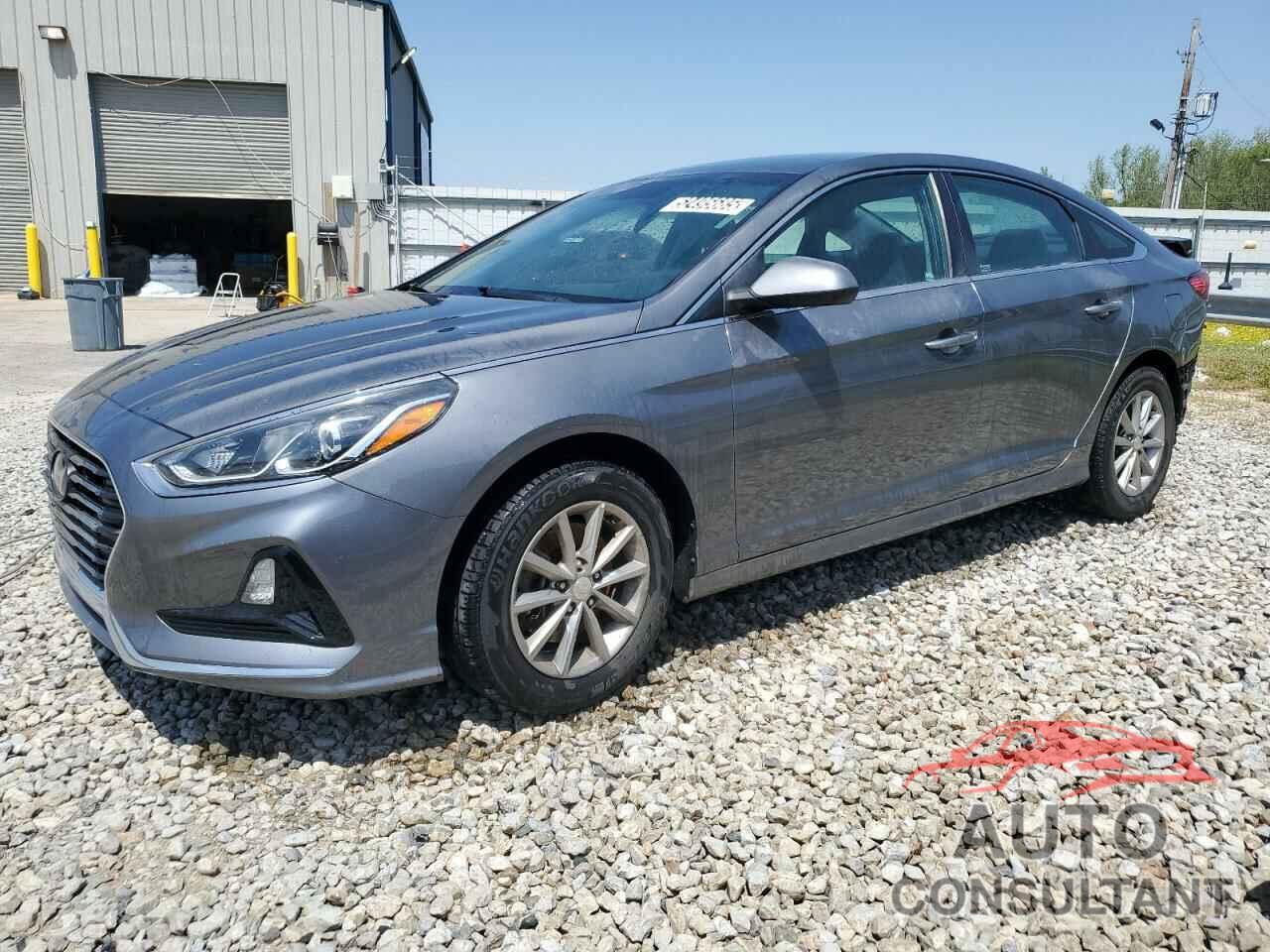 HYUNDAI SONATA 2019 - 5NPE24AF0KH801544