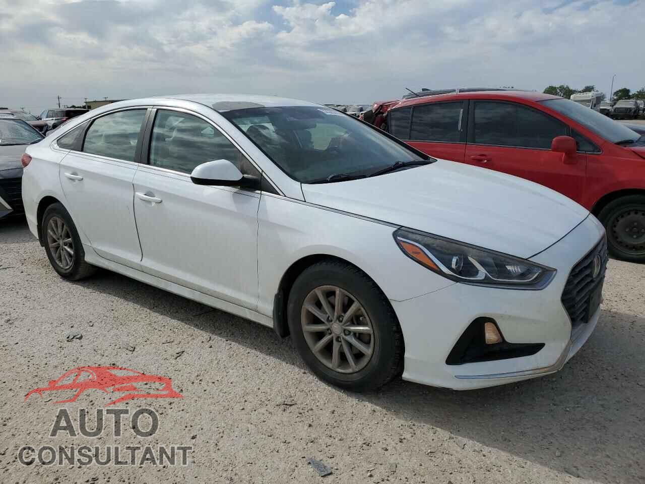 HYUNDAI SONATA 2019 - 5NPE24AF1KH736493