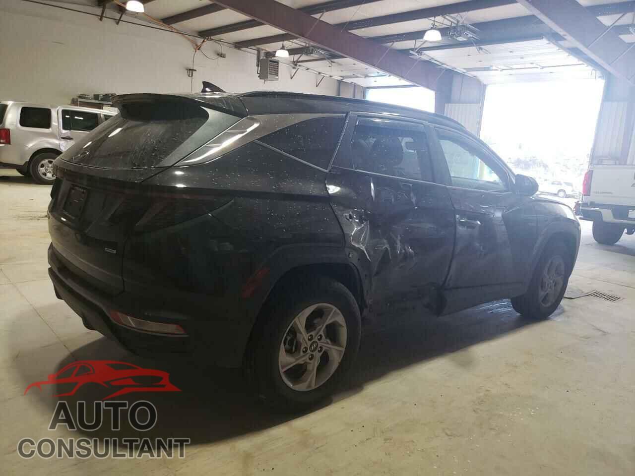 HYUNDAI TUCSON 2023 - 5NMJBCAE2PH204156