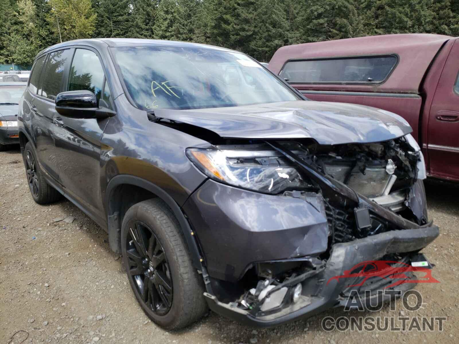 HONDA PASSPORT 2019 - 5FNYF8H23KB023430