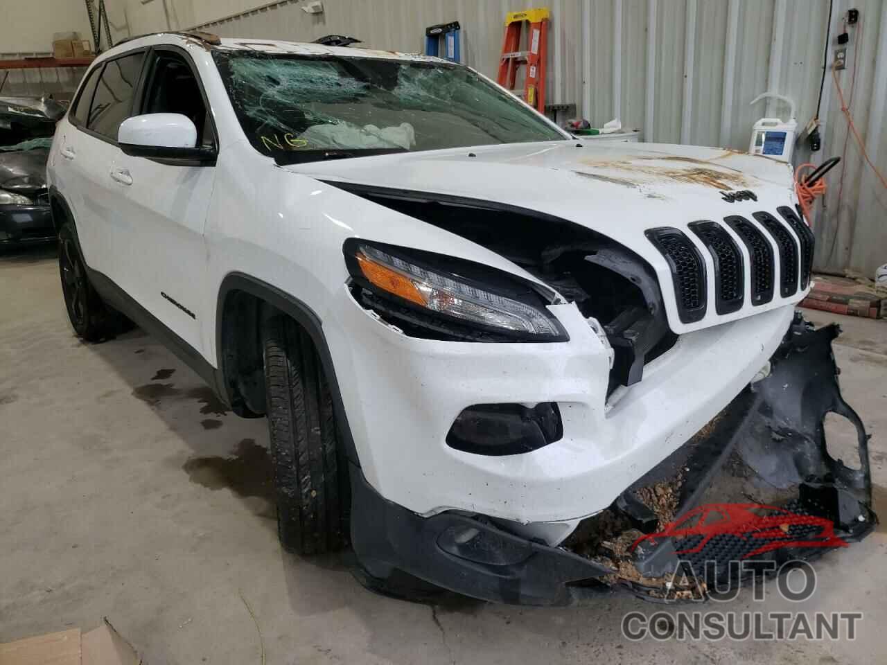 JEEP ALL OTHER 2018 - 1C4PJLDX3JD519509