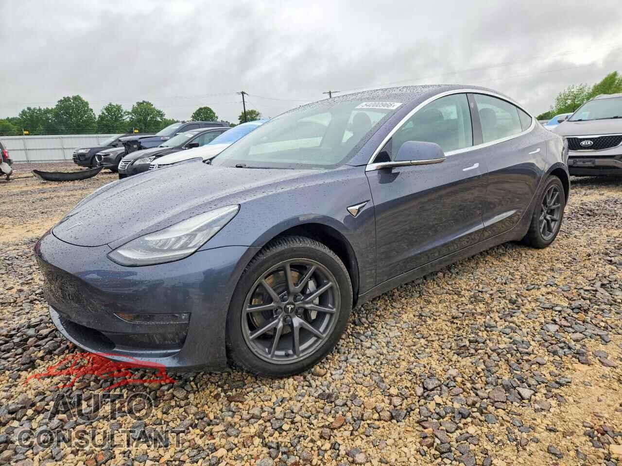 TESLA MODEL 3 2019 - 5YJ3E1EA2KF308197