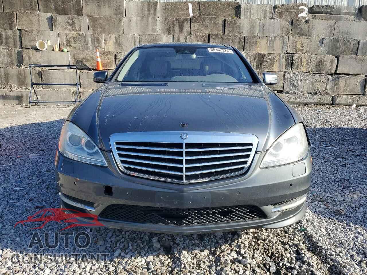 MERCEDES-BENZ S-CLASS 2010 - WDDNG8GB5AA318558