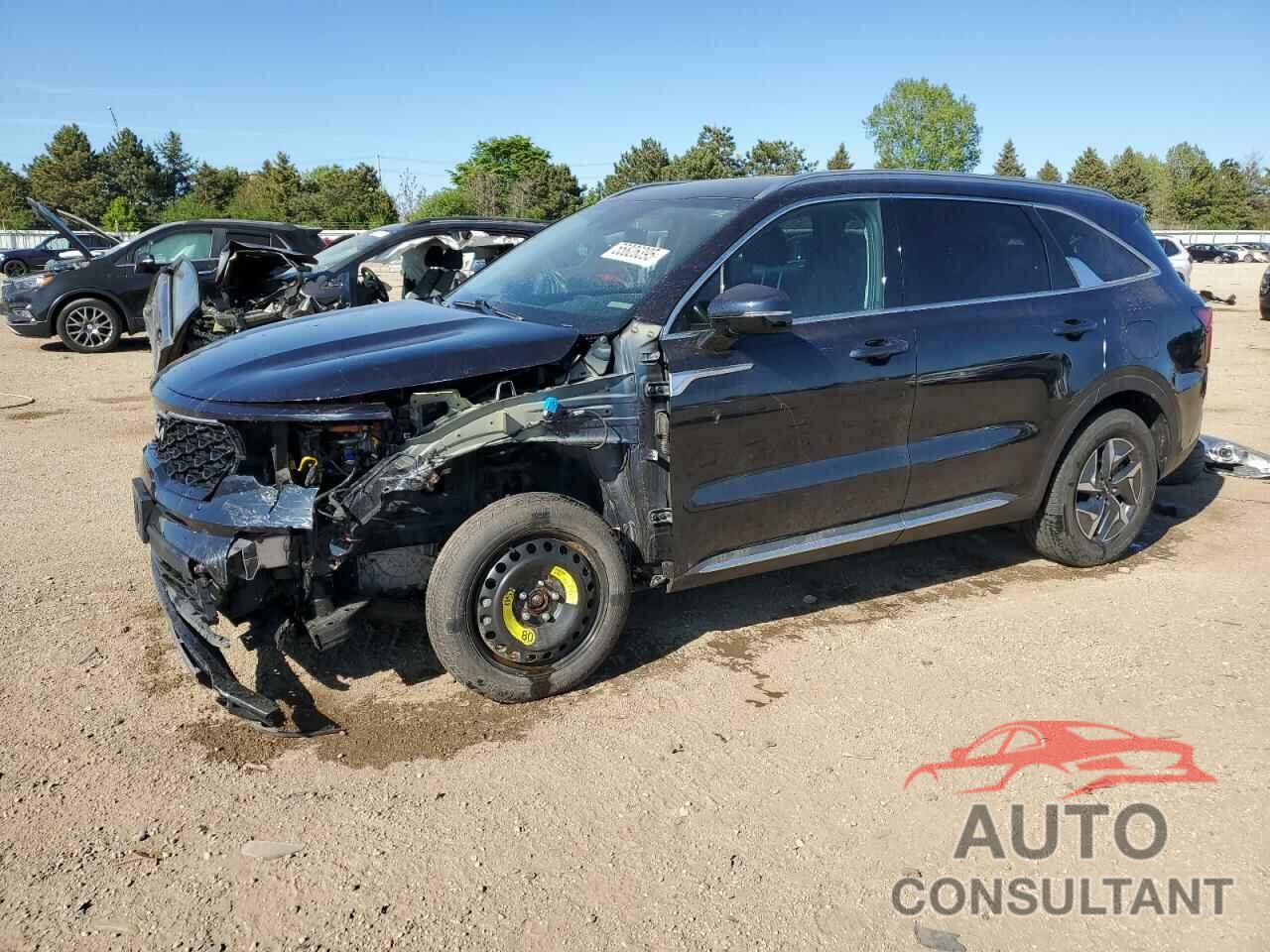 KIA SORENTO 2022 - KNDRGDLG3N5081122