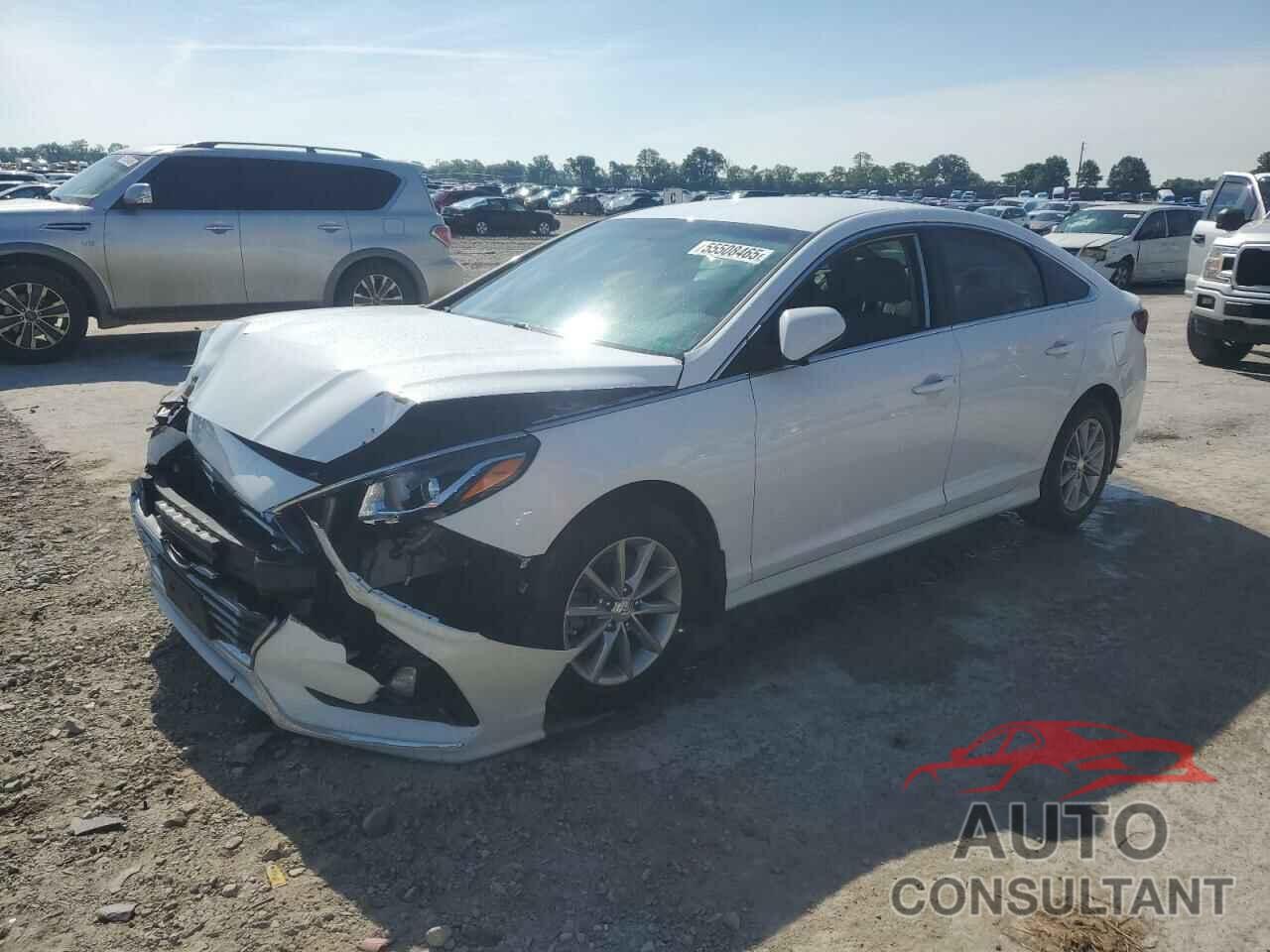 HYUNDAI SONATA 2018 - 5NPE24AF7JH706526