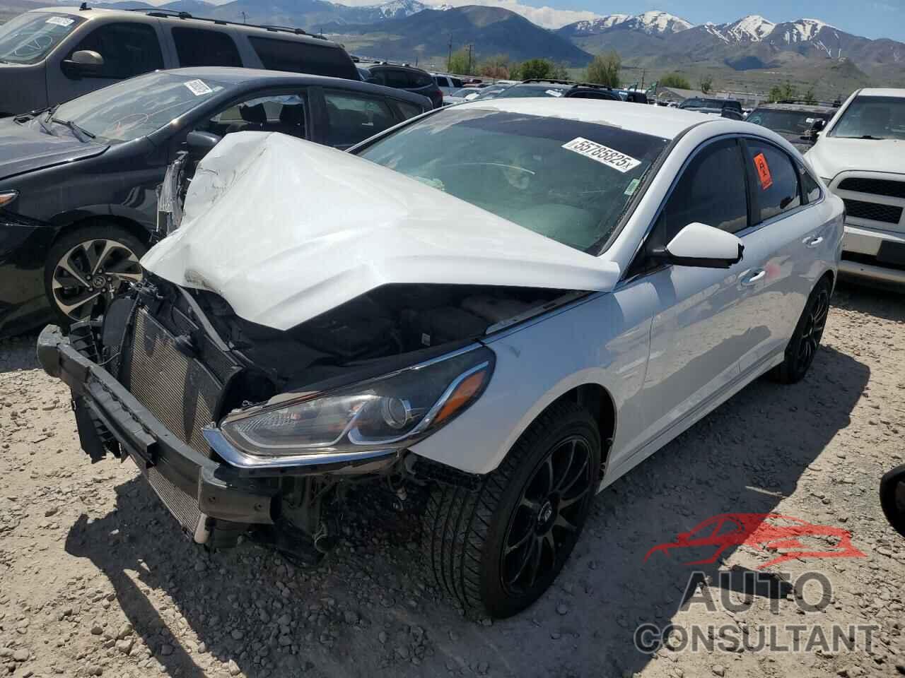 HYUNDAI SONATA 2018 - 5NPE24AFXJH601060