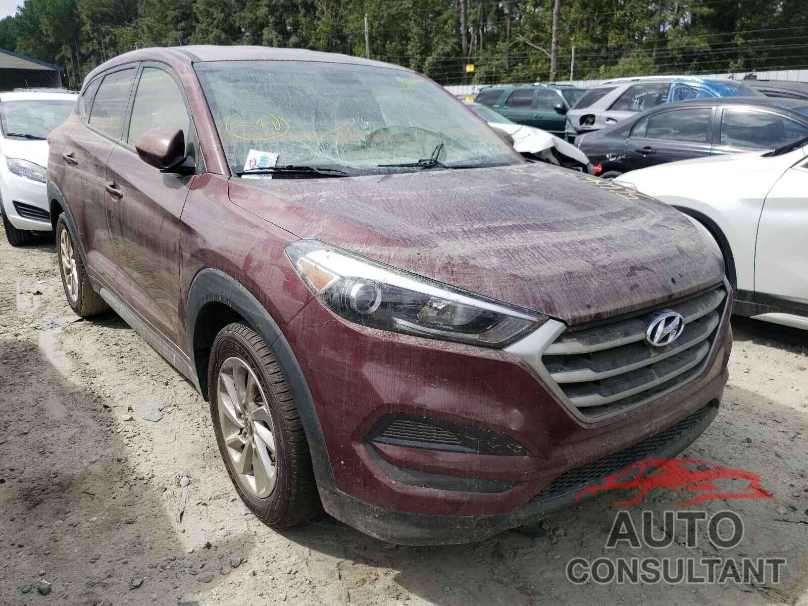 HYUNDAI TUCSON 2017 - KM8J23A46HU396839