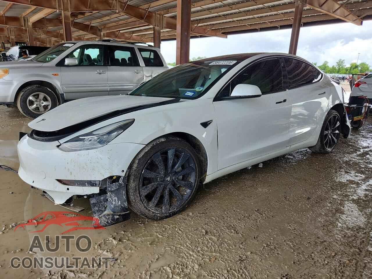 TESLA MODEL 3 2019 - 5YJ3E1EB3KF469585