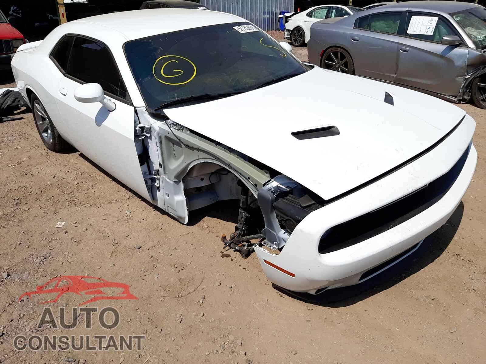 DODGE CHALLENGER 2019 - 2C3CDZAG2KH744199