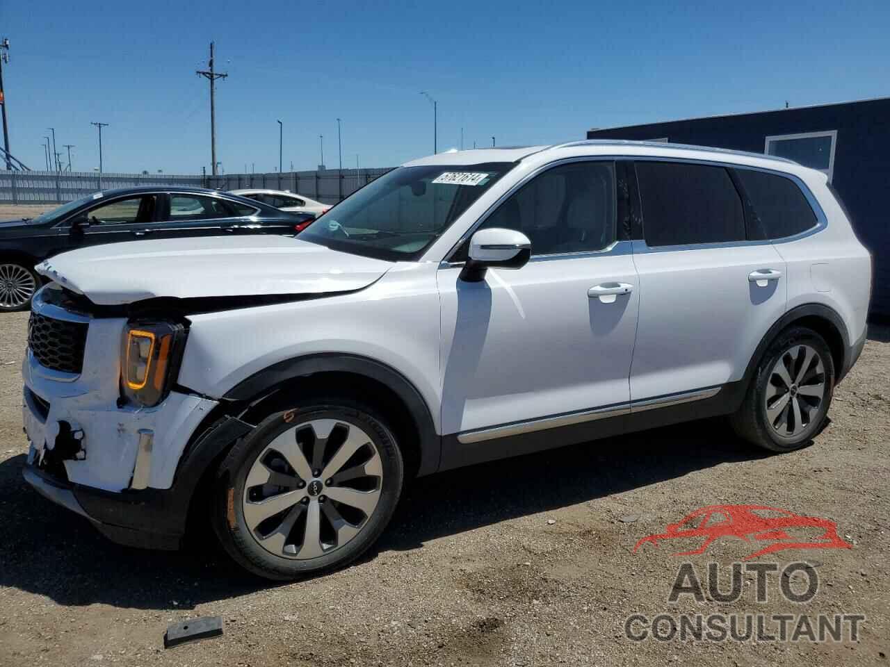 KIA TELLURIDE 2022 - 5XYP3DHC5NG264490