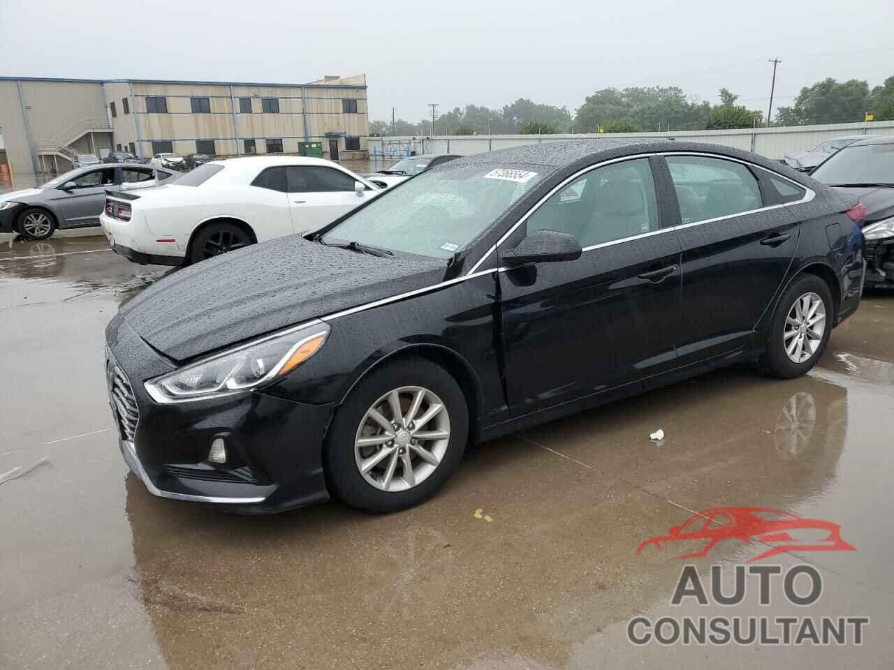 HYUNDAI SONATA 2019 - 5NPE24AFXKH773753