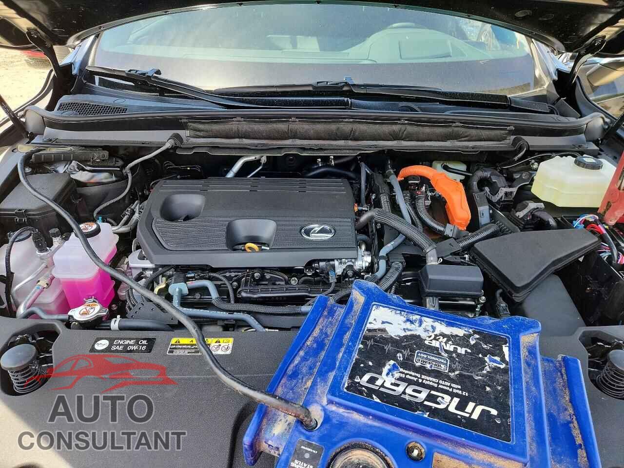 LEXUS UNKNOWN 2026 - 2T2BBMCA5TC134636