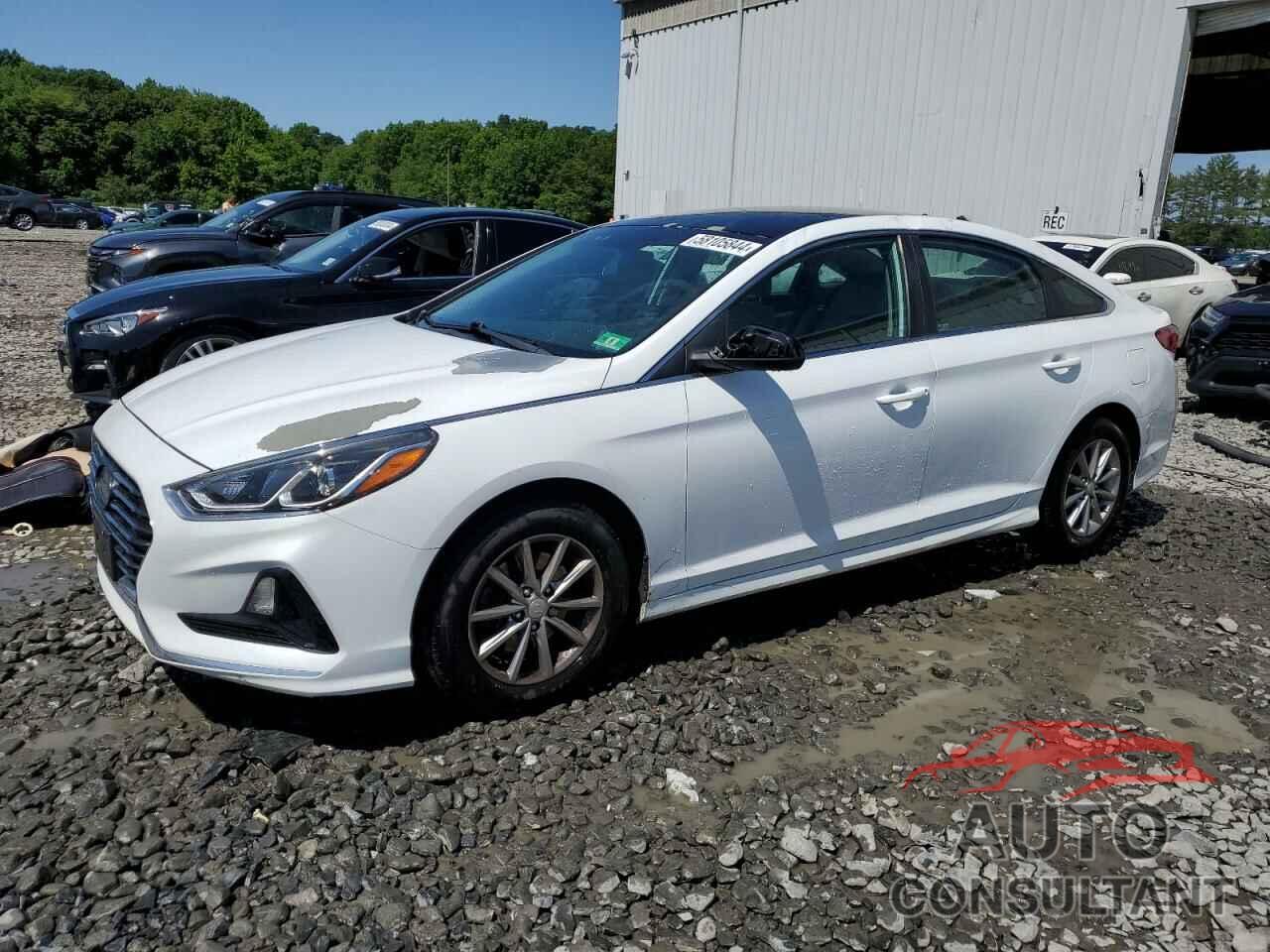 HYUNDAI SONATA 2018 - 5NPE24AF7JH665377