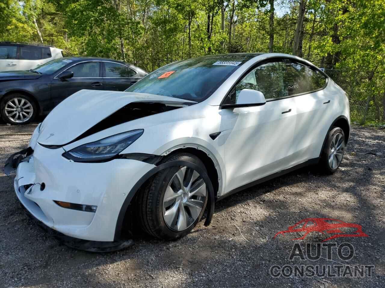 TESLA MODEL Y 2021 - 5YJYGDEDXMF119568