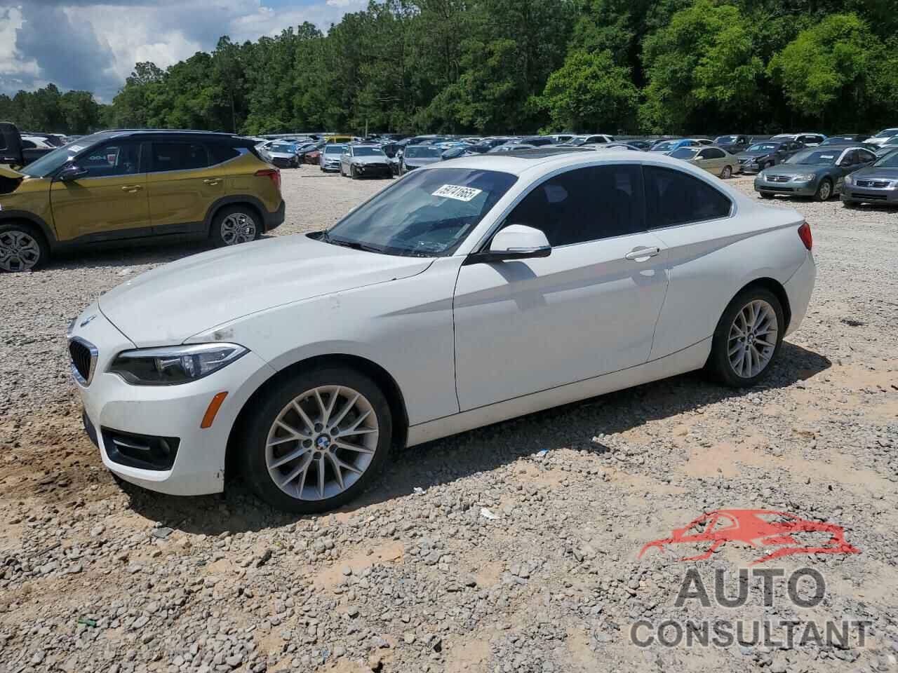BMW 2 SERIES 2016 - WBA1F9C50GV544748